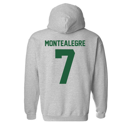 Utah Valley - NCAA Men's Soccer : Jose Luis Martin Montealegre - Classic Fashion Shersey Hooded Sweatshirt-1