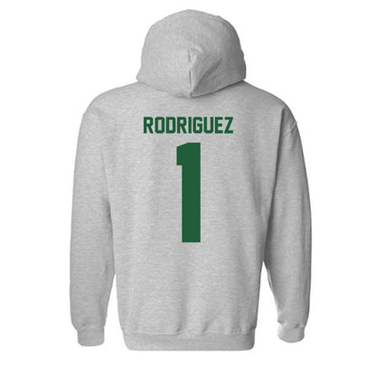 Utah Valley - NCAA Softball : Amber Rodriguez - Classic Fashion Shersey Hooded Sweatshirt-1