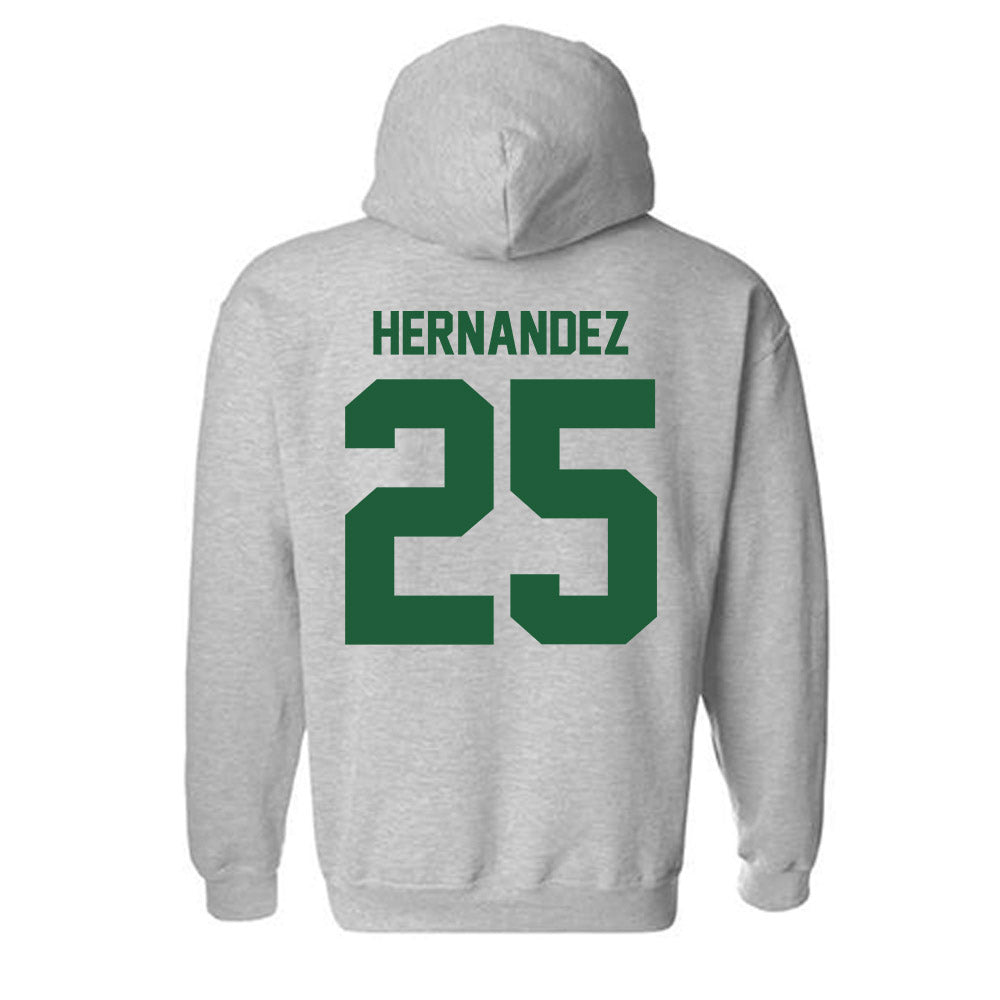 Utah Valley - NCAA Baseball : Ray Hernandez - Classic Fashion Shersey Hooded Sweatshirt-1