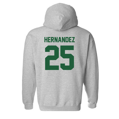 Utah Valley - NCAA Baseball : Ray Hernandez - Classic Shersey Hooded Sweatshirt-1