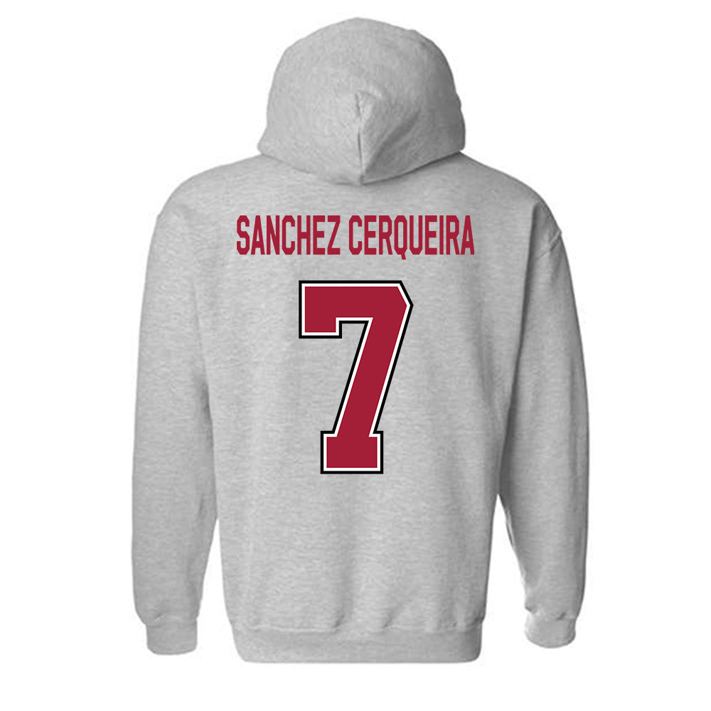 Arkansas - NCAA Women's Basketball : Cristina Sanchez Cerqueira - Classic Fashion Shersey Hooded Sweatshirt-1