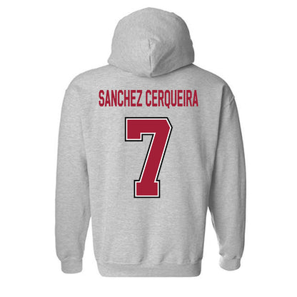 Arkansas - NCAA Women's Basketball : Cristina Sanchez Cerqueira - Classic Fashion Shersey Hooded Sweatshirt-1
