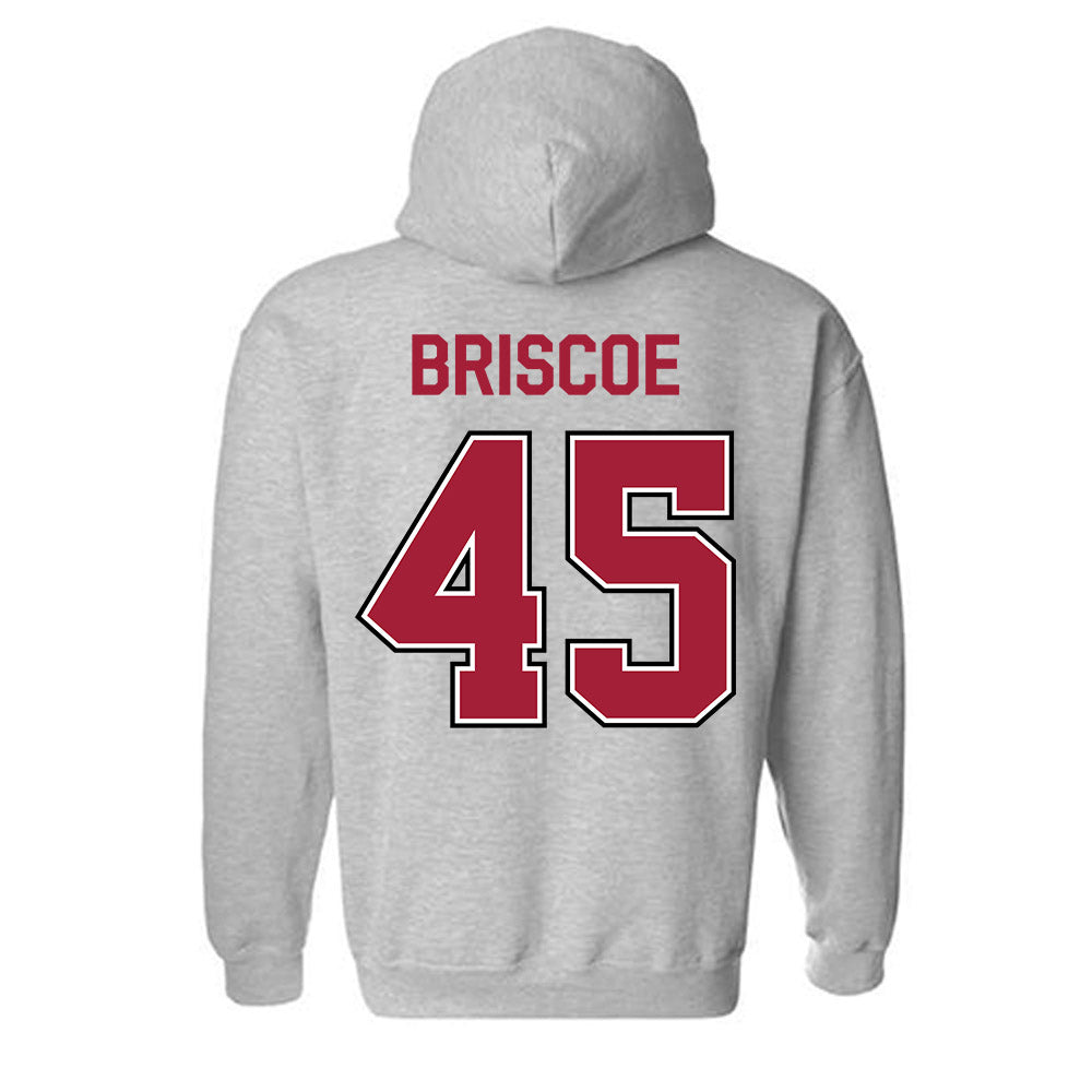 Arkansas - NCAA Baseball : Tye Briscoe - Classic Fashion Shersey Hooded Sweatshirt-1