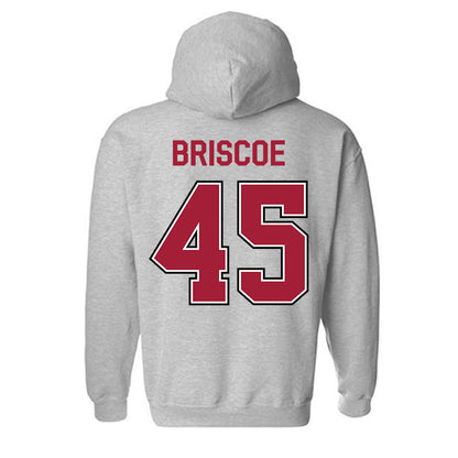 Arkansas - NCAA Baseball : Tye Briscoe - Classic Fashion Shersey Hooded Sweatshirt-1