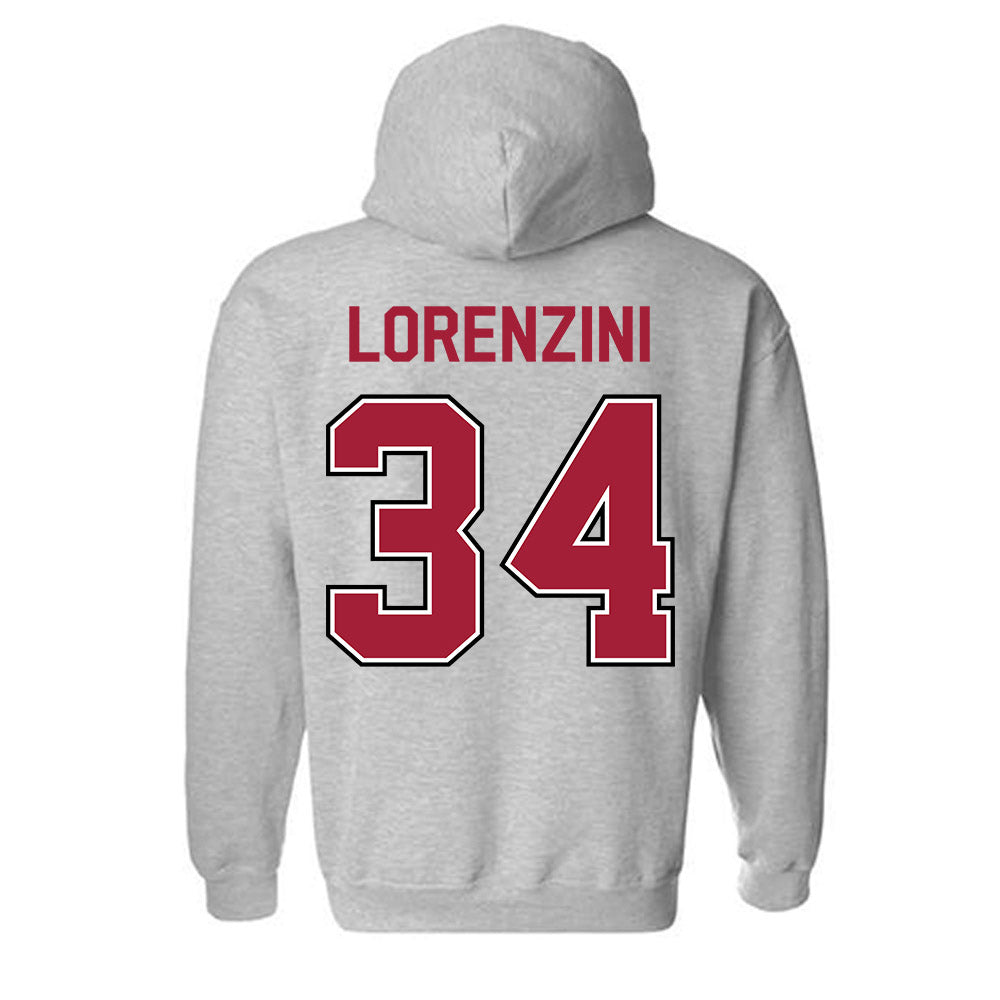 Arkansas - NCAA Baseball : Joey Lorenzini - Classic Fashion Shersey Hooded Sweatshirt-1