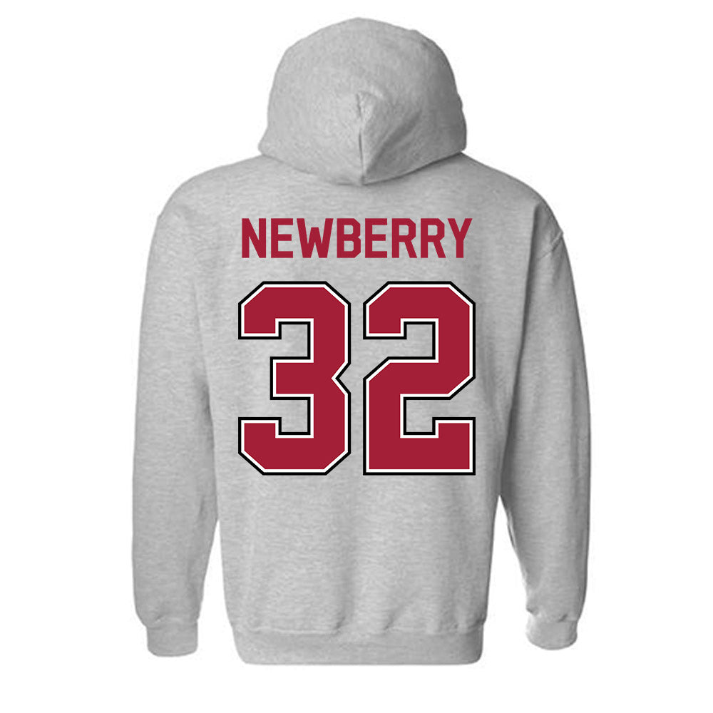 Arkansas - NCAA Baseball : Trystan Newberry - Classic Fashion Shersey Hooded Sweatshirt-1