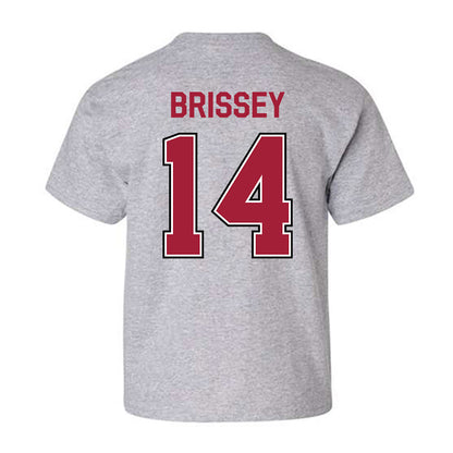 Arkansas - NCAA Baseball : Mark Brissey - Classic Fashion Shersey Youth T-Shirt-1