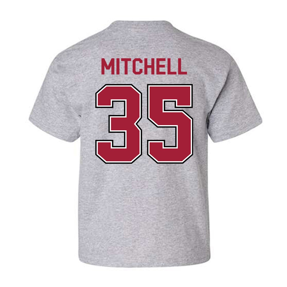 Arkansas - NCAA Baseball : Cayden Mitchell - Classic Fashion Shersey Youth T-Shirt-1
