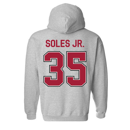 Arkansas - NCAA Football : Steven Soles Jr. - Classic Fashion Shersey Hooded Sweatshirt-1