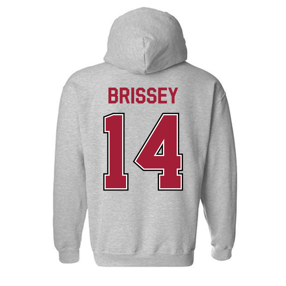 Arkansas - NCAA Baseball : Mark Brissey - Classic Fashion Shersey Hooded Sweatshirt-1