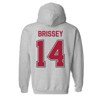 Arkansas - NCAA Baseball : Mark Brissey - Classic Fashion Shersey Hooded Sweatshirt-1