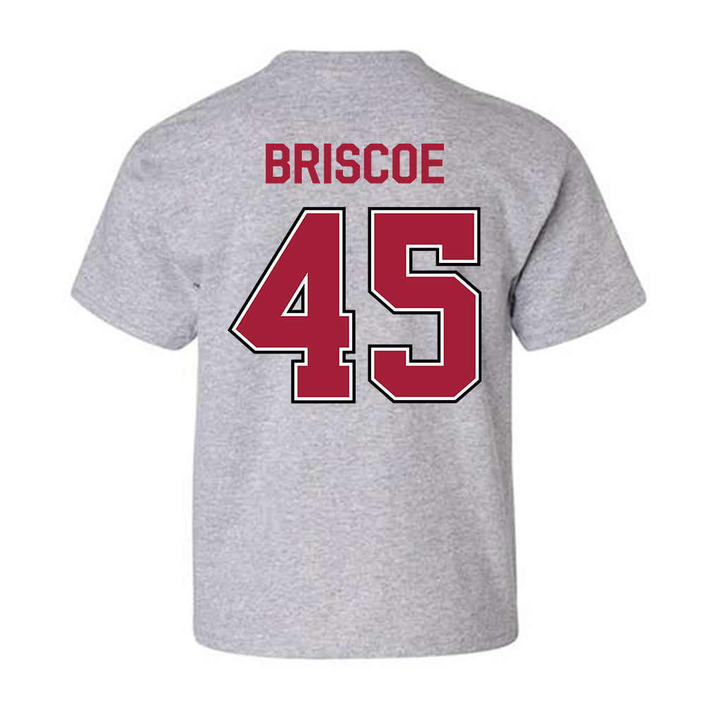 Arkansas - NCAA Baseball : Tye Briscoe - Classic Fashion Shersey Youth T-Shirt-1