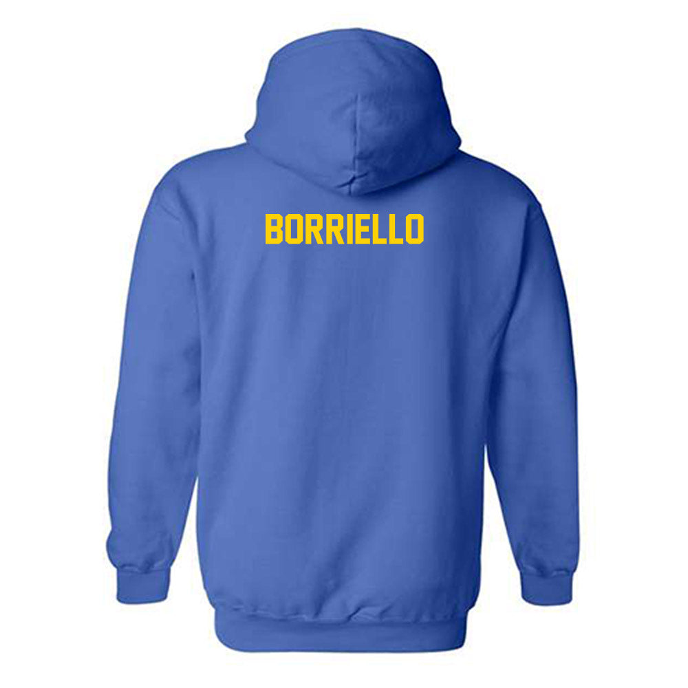 Delaware - Dance Team : Ava Borriello - Classic Fashion Shersey Hooded Sweatshirt-1