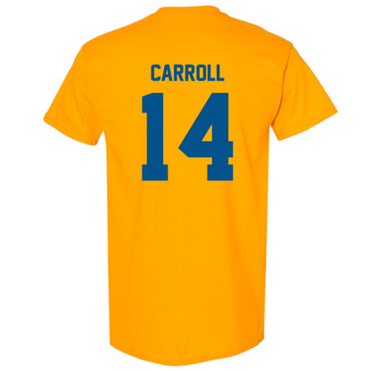 Delaware - NCAA Women's Basketball : Amiya Carroll - Classic Fashion Shersey T-Shirt-1