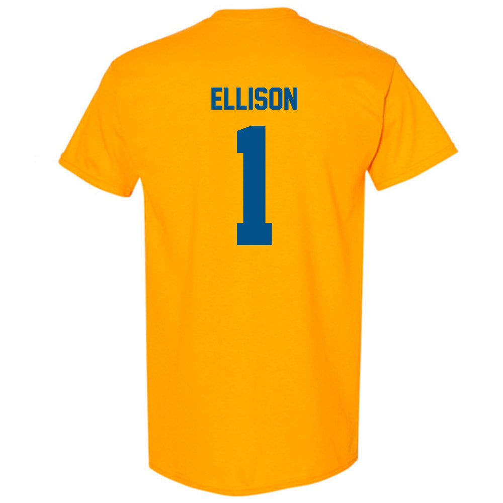 Delaware - NCAA Men's Basketball : Mason Ellison - Classic Fashion Shersey T-Shirt-1