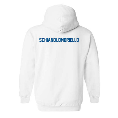 Delaware - Dance Team : Martina Schiano-Lomoriello - Classic Fashion Shersey Hooded Sweatshirt-1