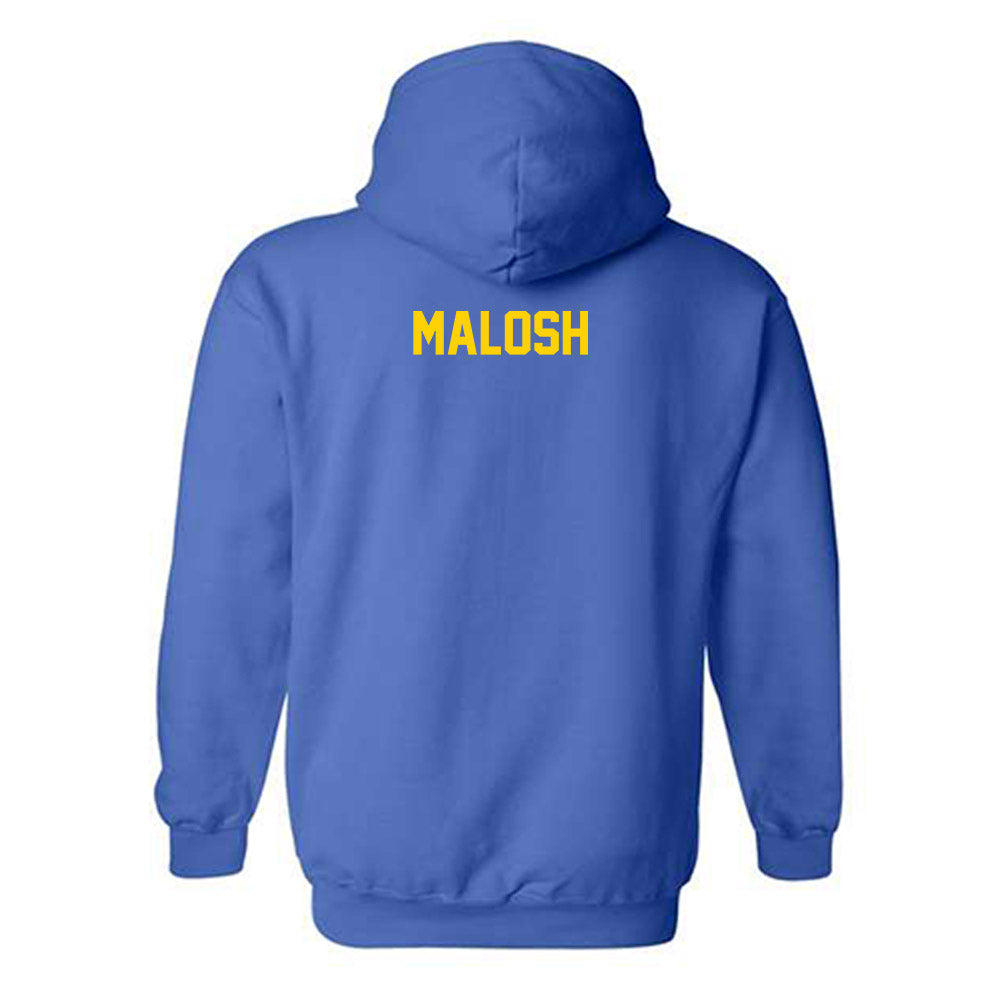 Delaware - NCAA Women's Golf : Marissa Malosh - Classic Shersey Hooded Sweatshirt-1
