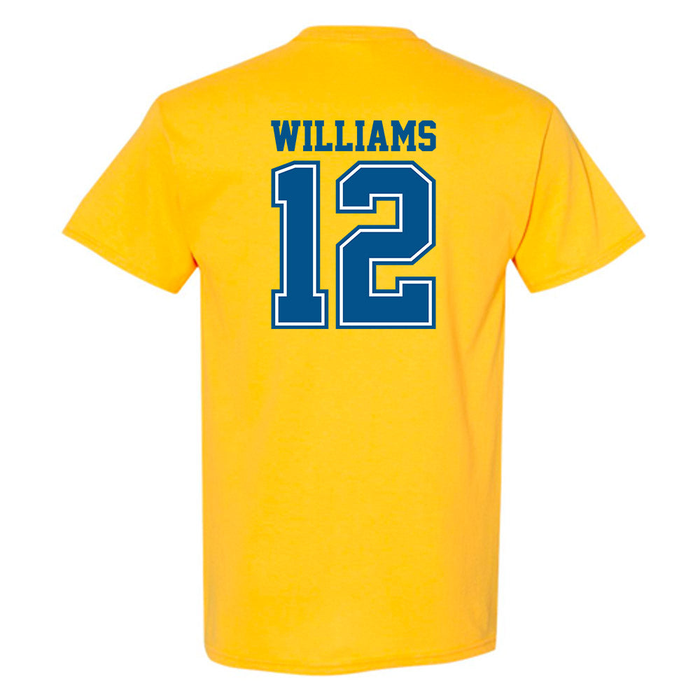 Delaware - NCAA Men's Soccer : Ethan Williams - T-Shirt