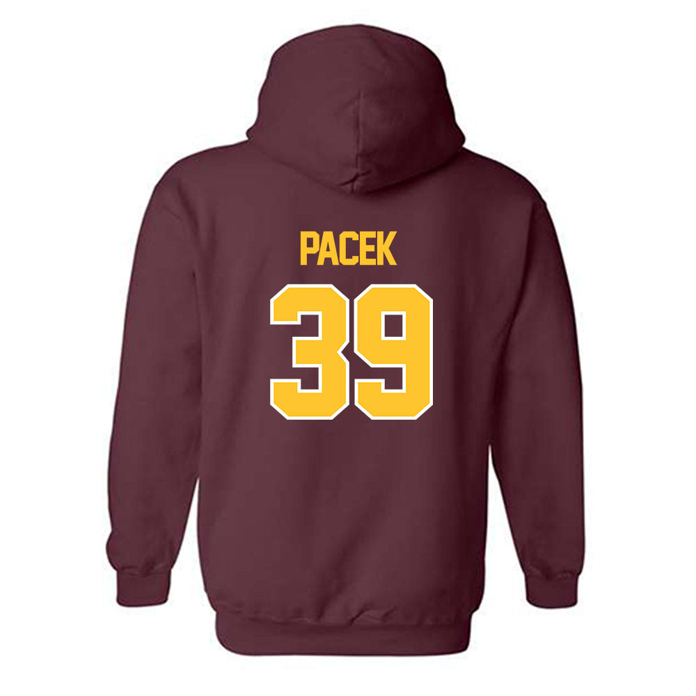 Central Michigan - NCAA Baseball : Zane Pacek - Classic Shersey Hooded Sweatshirt-1