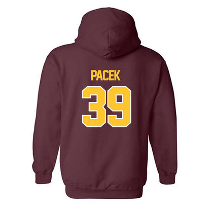 Central Michigan - NCAA Baseball : Zane Pacek - Classic Shersey Hooded Sweatshirt-1