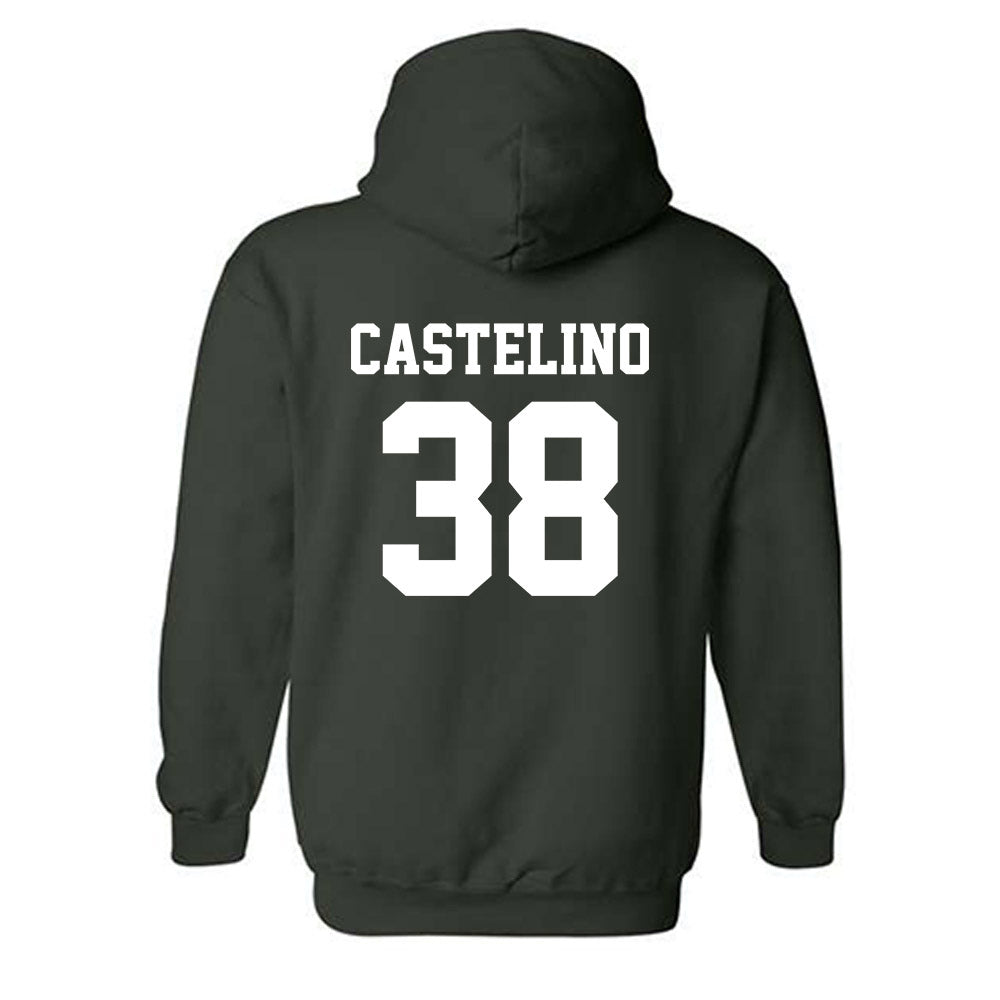 UNC Charlotte - NCAA Women's Lacrosse : Bella Castelino - Classic Shersey Hooded Sweatshirt-1