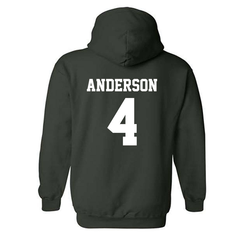 UNC Charlotte - NCAA Women's Basketball : Princess Anderson - Classic Shersey Hooded Sweatshirt-1