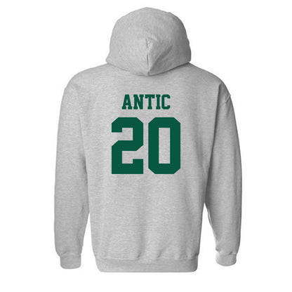 UNC Charlotte - NCAA Women's Volleyball : Jovana Antic - Classic Shersey Hooded Sweatshirt-1