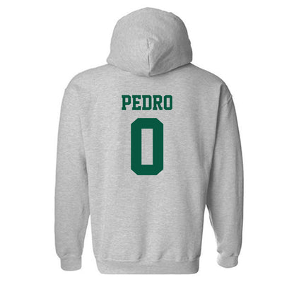 UNC Charlotte - NCAA Football : Cam Pedro - Classic Shersey Hooded Sweatshirt-1