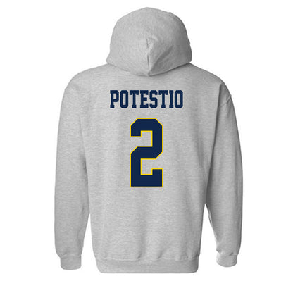 UCSD - NCAA Baseball : Anthony Potestio - Classic Fashion Shersey Hooded Sweatshirt-1