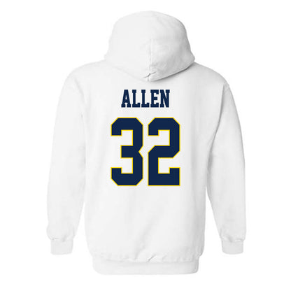 UCSD - NCAA Softball : Hannah Allen - Classic Fashion Shersey Hooded Sweatshirt-1
