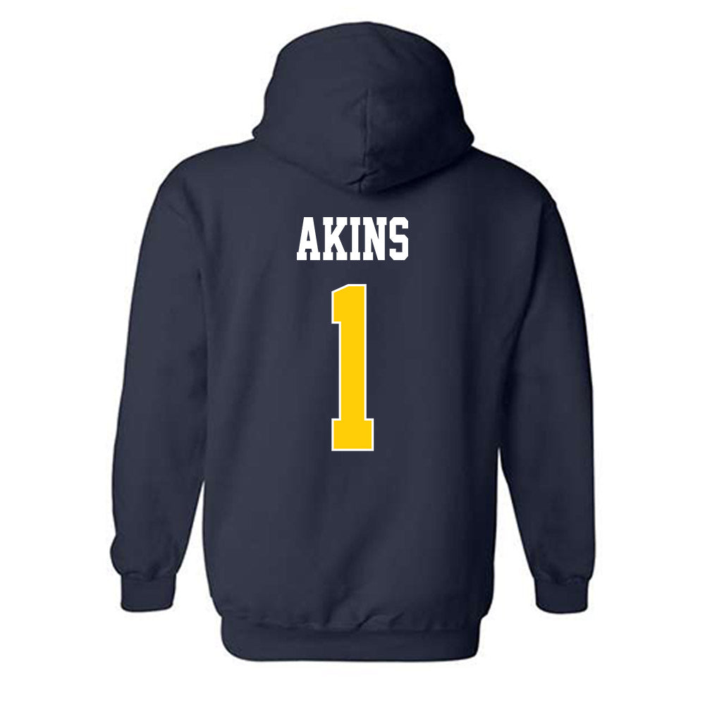 UCSD - NCAA Softball : Aubrey Akins - Classic Shersey Hooded Sweatshirt-1