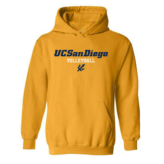 UCSD - NCAA Women's Volleyball : Hayden Shanafelt - Classic Shersey Hooded Sweatshirt-0