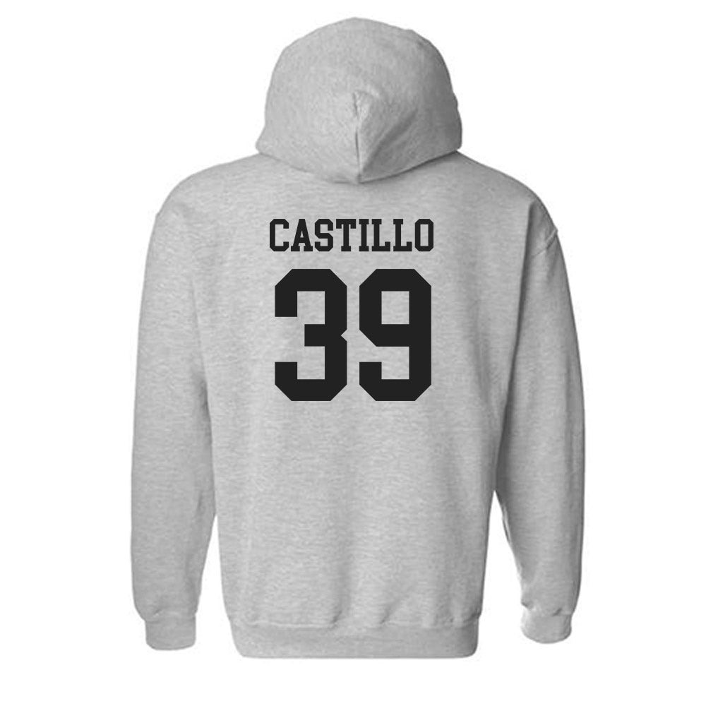 New Mexico - NCAA Baseball : Ryan Castillo - Classic Shersey Hooded Sweatshirt-1