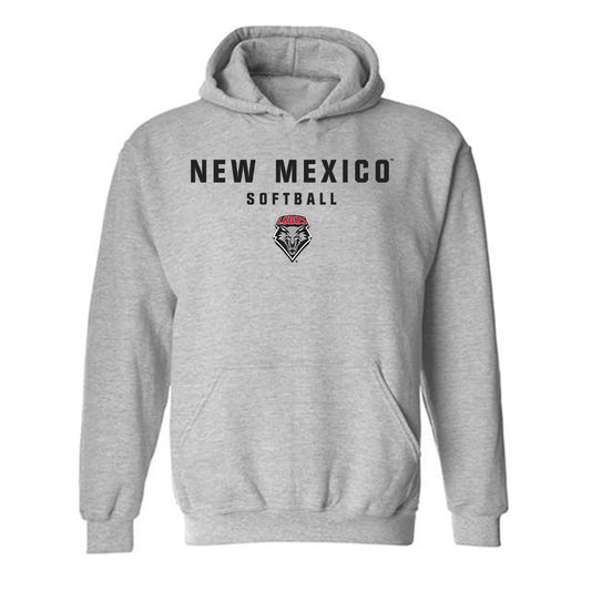 New Mexico - NCAA Softball : Caitlin Benningfield - Classic Shersey Hooded Sweatshirt-0