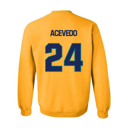 UNC Wilmington - NCAA Men's Soccer : Christian Acevedo - Classic Shersey Crewneck Sweatshirt-1