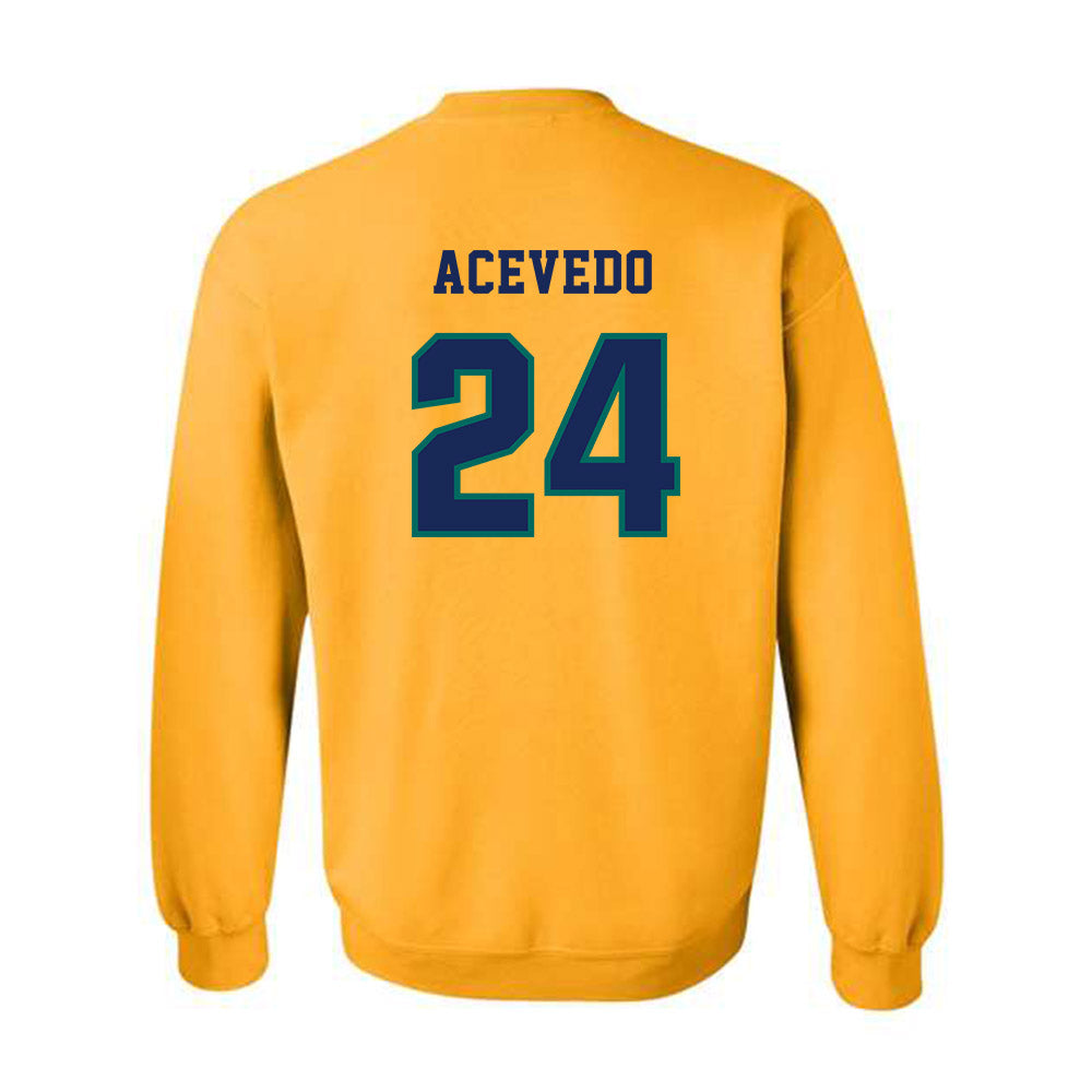 UNC Wilmington - NCAA Men's Soccer : Christian Acevedo - Classic Shersey Crewneck Sweatshirt-1