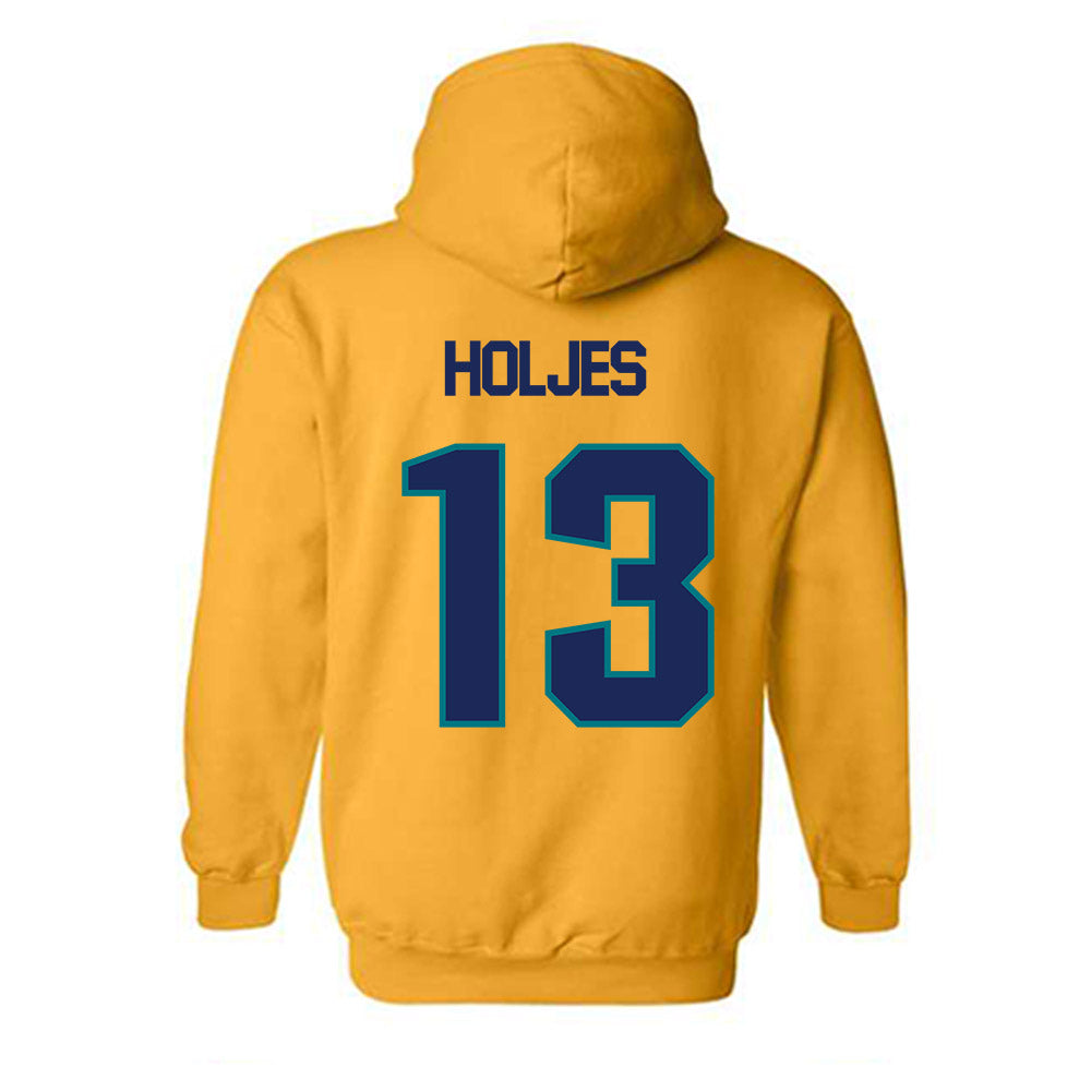 UNC Wilmington - NCAA Baseball : Carter Holjes - Classic Shersey Hooded Sweatshirt-1