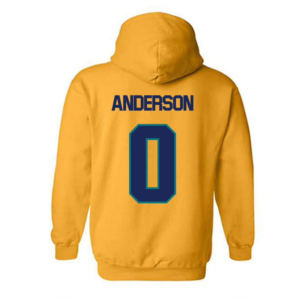 UNC Wilmington - NCAA Women's Soccer : Zoe Anderson - Classic Shersey Hooded Sweatshirt-1