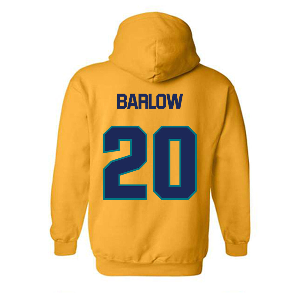 UNC Wilmington - NCAA Softball : Taylor Barlow - Classic Shersey Hooded Sweatshirt-1