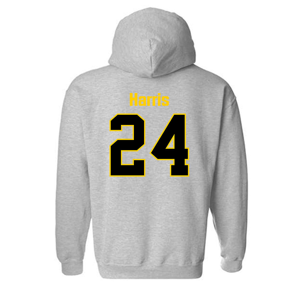 App State - NCAA Baseball : Everette Harris - Classic Shersey Hooded Sweatshirt-1