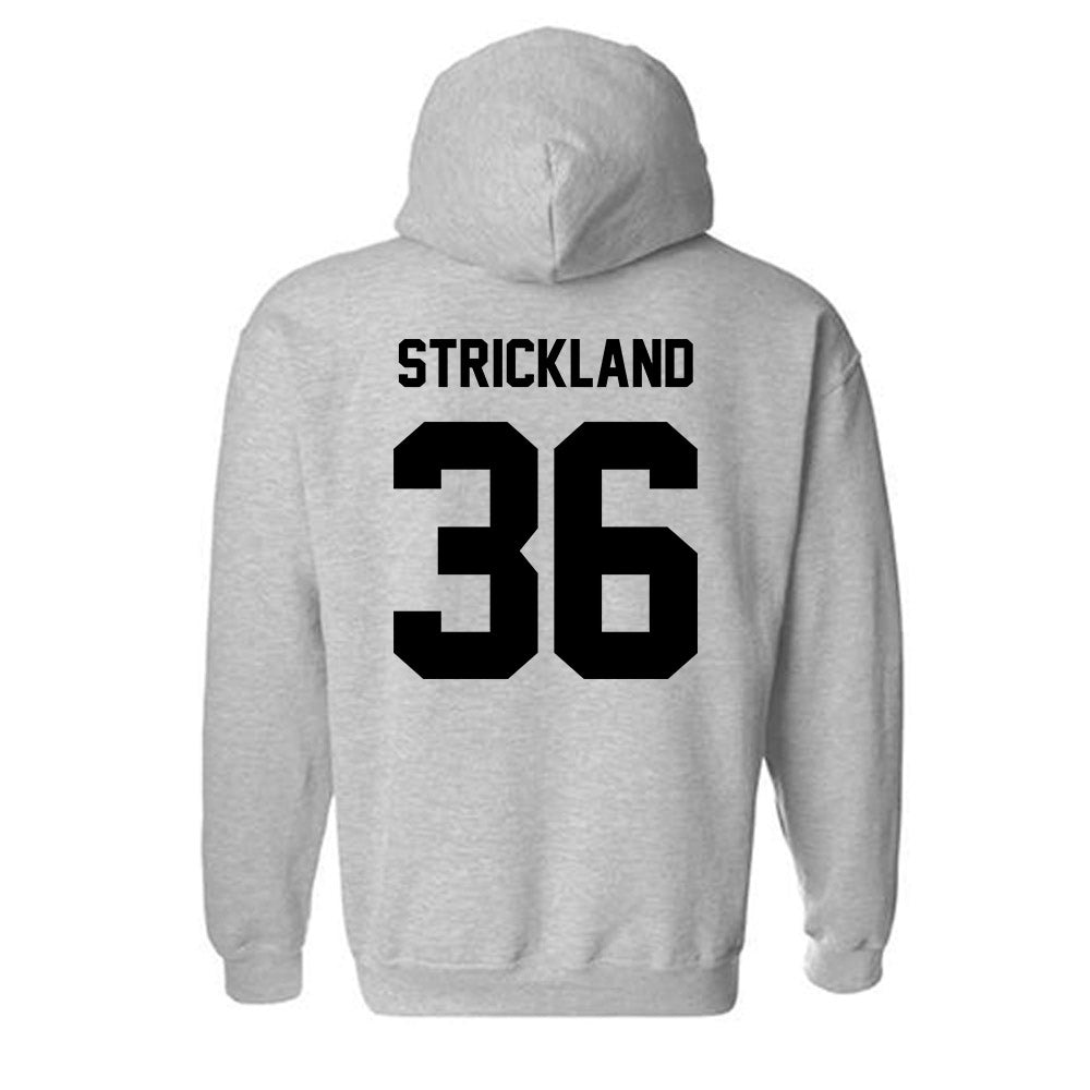 Georgia Southern - NCAA Baseball : Daegan Strickland - Classic Fashion Shersey Hooded Sweatshirt-1