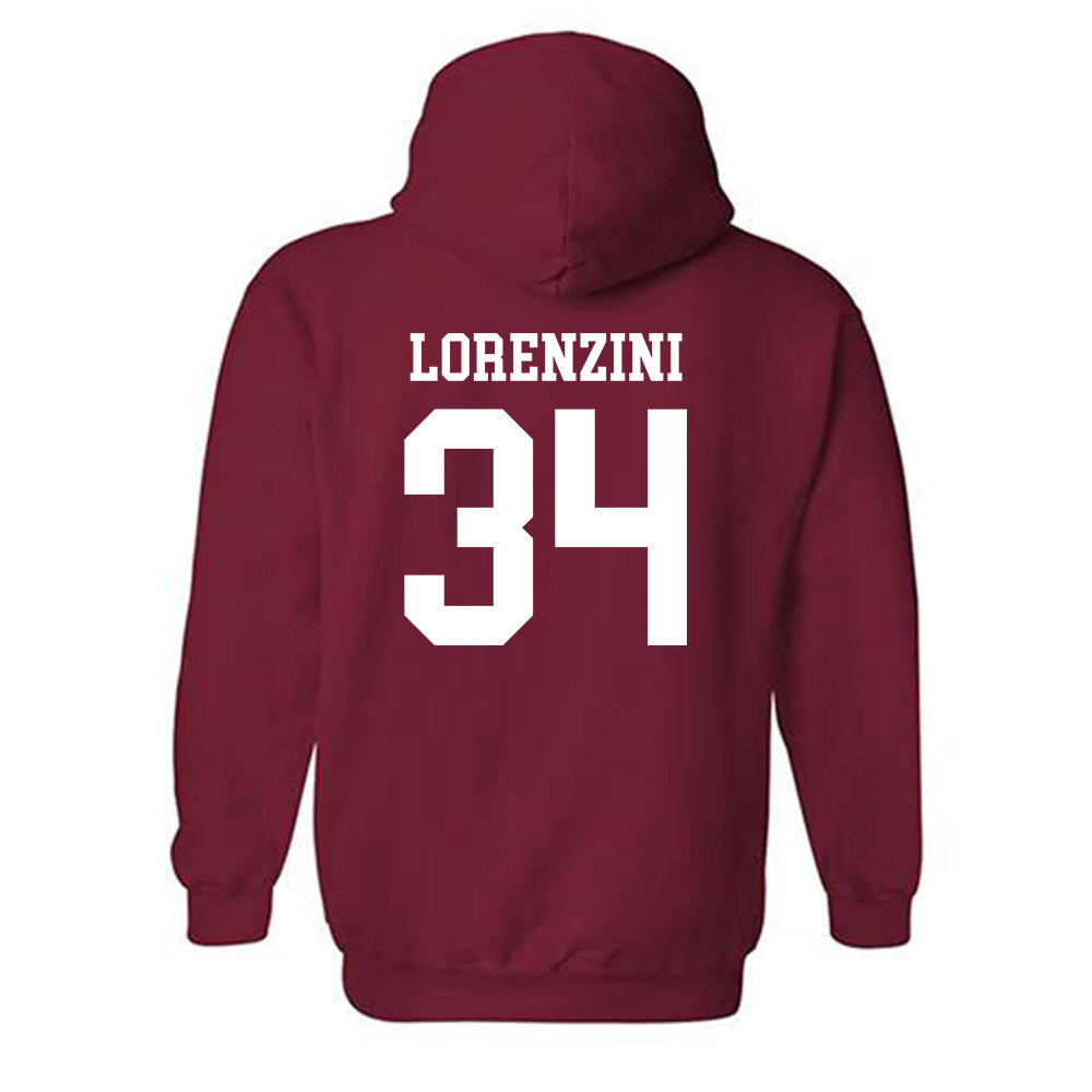 Arkansas - NCAA Baseball : Joey Lorenzini - Classic Shersey Hooded Sweatshirt-1