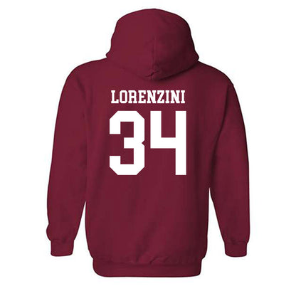 Arkansas - NCAA Baseball : Joey Lorenzini - Classic Shersey Hooded Sweatshirt-1