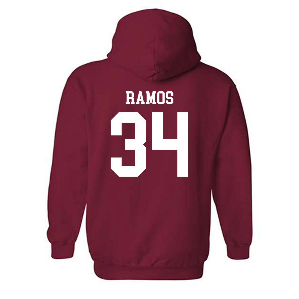 Arkansas - NCAA Softball : Jayden Ramos - Classic Shersey Hooded Sweatshirt-1
