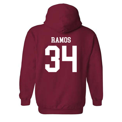 Arkansas - NCAA Softball : Jayden Ramos - Classic Shersey Hooded Sweatshirt-1