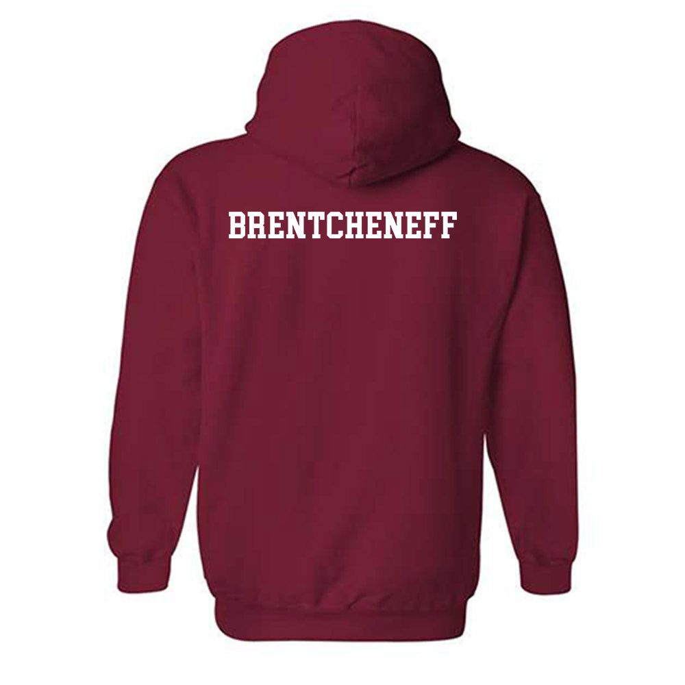 Arkansas - NCAA Women's Golf : Sara Brentcheneff - Classic Shersey Hooded Sweatshirt-1