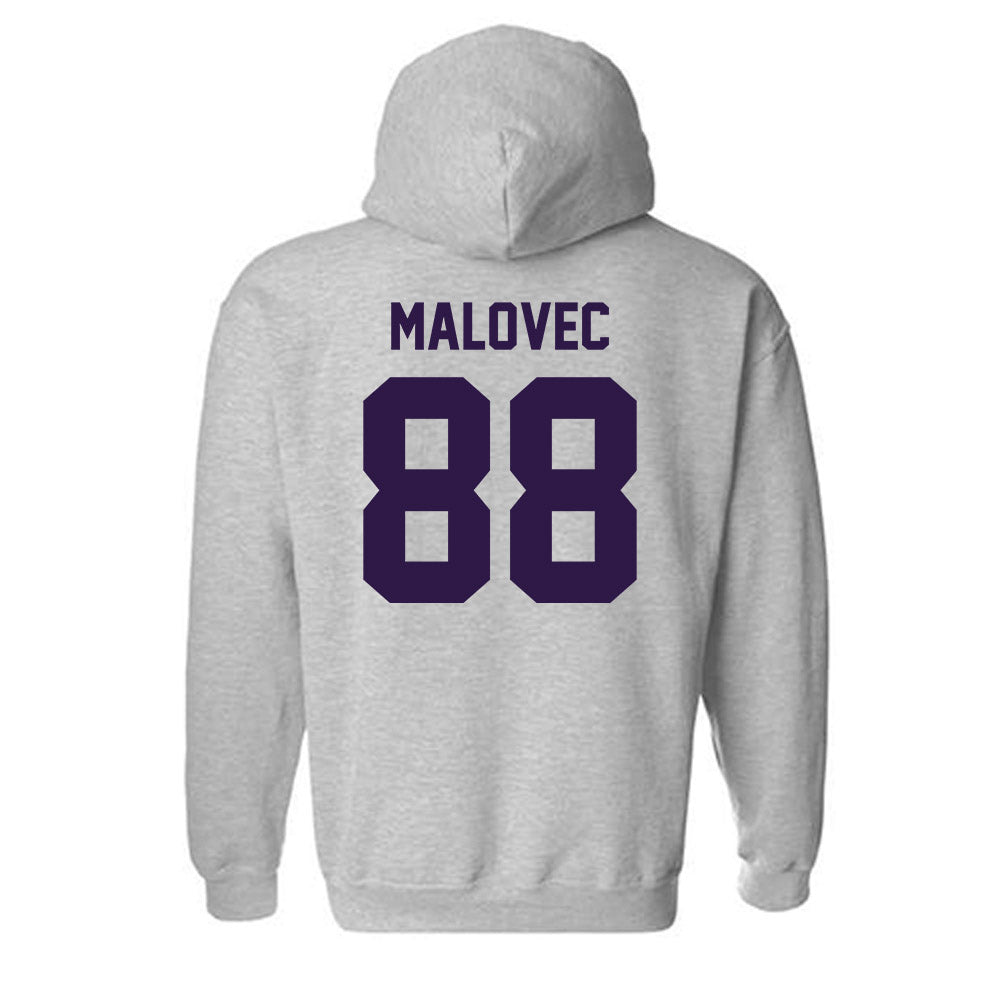 Kansas State - NCAA Men's Basketball : Timotej Malovec - Classic Shersey Hooded Sweatshirt-1