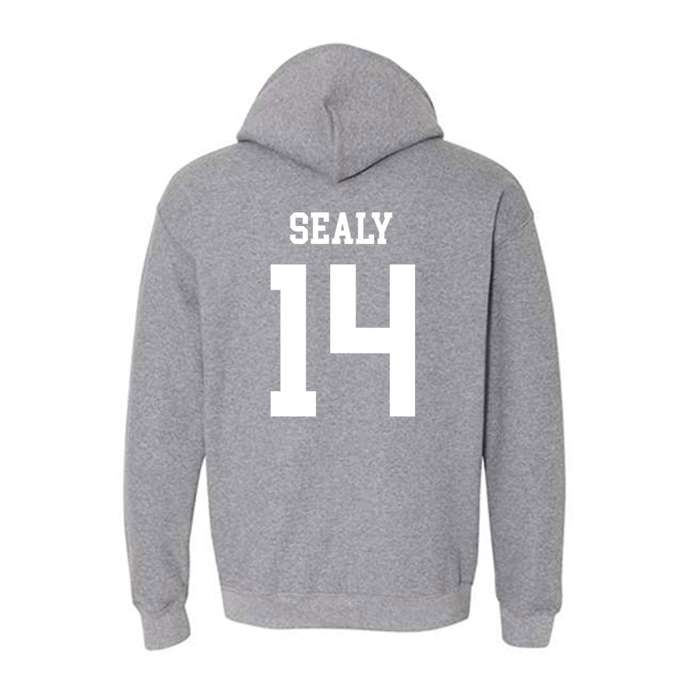 Georgia Southern - NCAA Women's Soccer : Abby Sealy - Hooded Sweatshirt-1