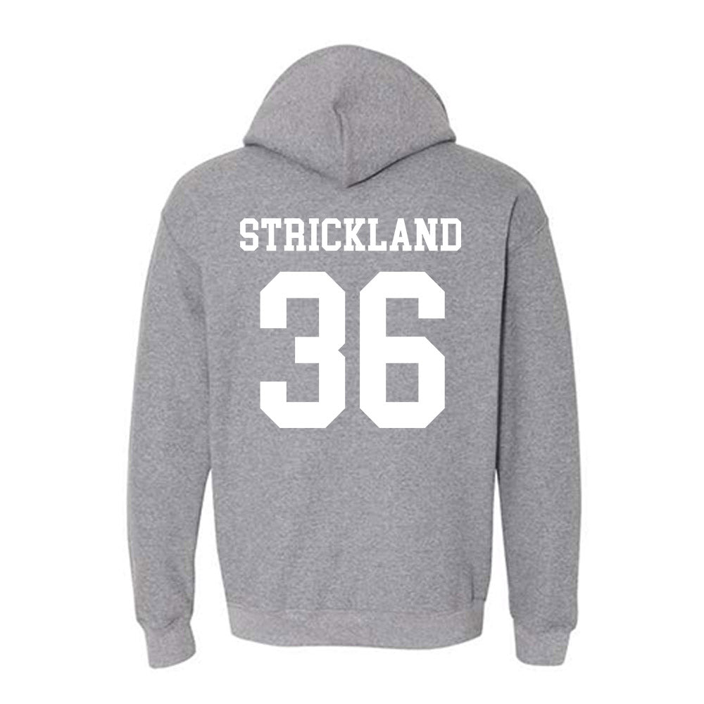 Georgia Southern - NCAA Baseball : Daegan Strickland - Hooded Sweatshirt-1