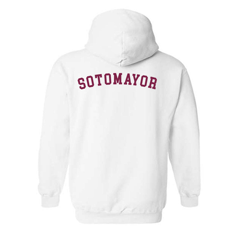 Arizona State - NCAA Women's Swimming & Diving : Alexia Sotomayor - Sports Shersey Hooded Sweatshirt-1